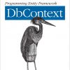 Programming Entity Framework: DbContext eBook