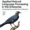 Applied Natural Language Processing in the Enterprise eBook