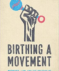 Birthing a Movement: Midwives, Law, and the Politics of Reproductive Care eBook