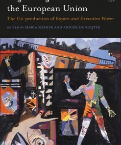 Regulating Risks in the European Union: The Co-production of Expert and Executive Power eBook