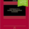 Copyright in a Global Information Economy eBook