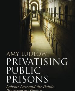 Privatising Public Prisons: Labour Law and the Public Procurement Process eBook