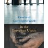 Core and Contingent Work in the European Union: A Comparative Analysis eBook
