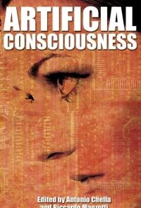 Artificial Consciousness eBook