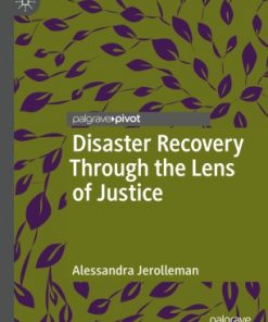 Disaster Recovery Through the Lens of Justice eBook