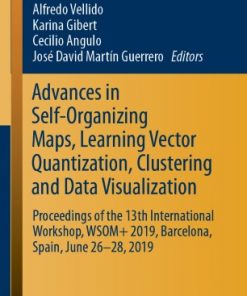 Advances in Self-Organizing Maps, Learning Vector Quantization, Clustering and Data Visualization Proceedings of the 13th International Workshop, WSOM 2019, Barcelona, Spain, June 26-28, 2019 eBook