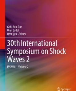 30th International Symposium on Shock Waves 2: ISSW30 - Volume 2 eBook