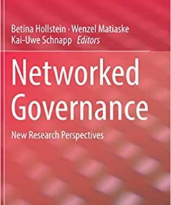 Networked Governance: New Research Perspectives eBook