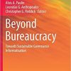 Beyond Bureaucracy: Towards Sustainable Governance Informatisation eBook