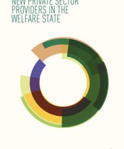 New Private Sector Providers in the Welfare State eBook