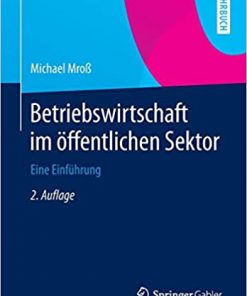 Betriebswirtschaft im öffentlichen Sektor: Eine Einführung eBook