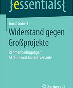 Widerstand gegen Großprojekte: Rahmenbedingungen, Akteure und Konfliktverläufe eBook