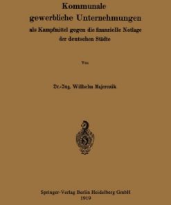Kommunale gewerbliche Unternehmungen als Kampfmittel gegen die finanzielle Notlage der deutschen Städte eBook