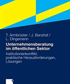 Unternehmensberatung im öffentlichen Sektor: Institutionenkonflikt, praktische Herausforderungen, Lösungen eBook