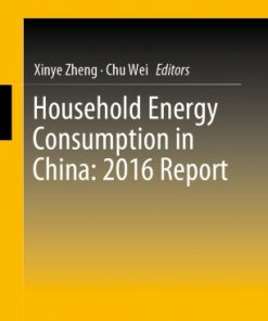 Household Energy Consumption in China: 2016 Report eBook