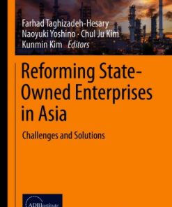 Reforming State-Owned Enterprises in Asia: Challenges and Solutions eBook