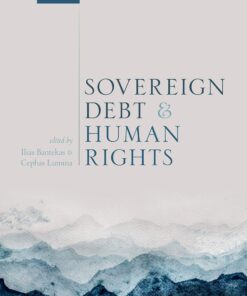 Sovereign Debt and Human Rights eBook