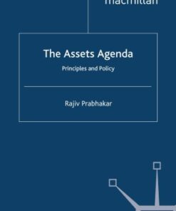 The Assets Agenda: Principles and Policy eBook