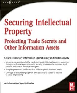 Securing Intellectual Property: Protecting Trade Secrets and Other Information Assets eBook