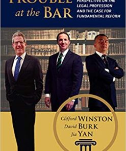 Trouble at the Bar: An Economics Perspective on the Legal Profession and the Case for Fundamental Reform eBook