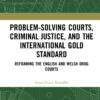 Problem-Solving Courts, Criminal Justice, and the International Gold Standard: Reframing the English and Welsh Drug Courts eBook