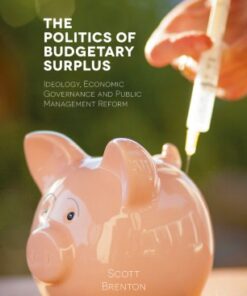 The Politics of Budgetary Surplus eBook