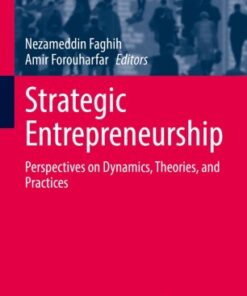 Strategic Entrepreneurship: Perspectives on Dynamics, Theories, and Practices eBook