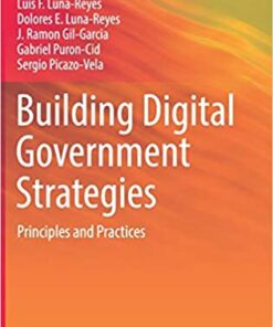 Building Digital Government Strategies: Principles and Practices eBook