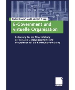 E-Government und virtuelle Organisation: Bedeutung für die Neugestaltung der sozialen Sicherungssysteme und Perspektiven für die Kommunalverwaltung eBook