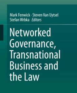 Networked Governance, Transnational Business and the Law eBook
