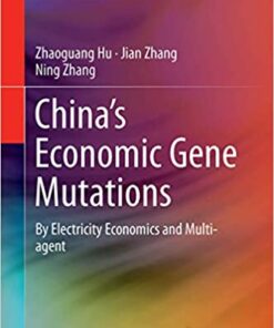 China’s Economic Gene Mutations: By Electricity Economics and Multi-agent eBook