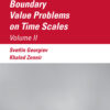 Boundary Value Problems on Time Scales, Volume II eBook