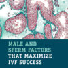 Male and Sperm Factors that Maximize IVF Success eBook