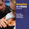 Neonatology at a Glance eBook