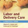 Labor and Delivery Care: A Practical Guide eBook