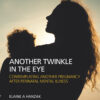 Another Twinkle in the Eye: Contemplating Another Pregnancy After Perinatal Mental Illness eBook