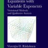 Partial Differential Equations with Variable Exponents: Variational Methods and Qualitative Analysis eBook
