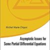 Asymptotic Issues For Some Partial Differential Equations eBook