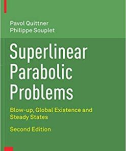 Superlinear Parabolic Problems: Blow-up, Global Existence and Steady States eBook