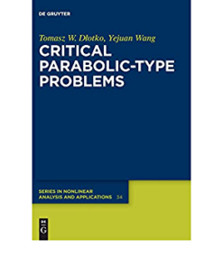 Critical Parabolic-Type Problems eBook