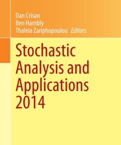 Stochastic Analysis and Applications 2014: In Honour of Terry Lyons eBook