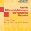 Partielle Differentialgleichungen und numerische Methoden eBook