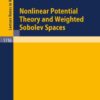 Nonlinear Potential Theory and Weighted Sobolev Spaces eBook