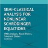 Semi-classical Analysis For Nonlinear Schrodinger Equations: Wkb Analysis, Focal Points, Coherent States (Second Edition) WKB Analysis, Focal Points, Coherent States eBook