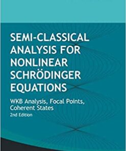 Semi-classical Analysis For Nonlinear Schrodinger Equations: Wkb Analysis, Focal Points, Coherent States (Second Edition) WKB Analysis, Focal Points, Coherent States eBook
