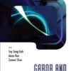 Gabor And Wavelet Frames eBook