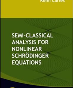 Semi-classical Analysis For Nonlinear Schrodinger Equations eBook