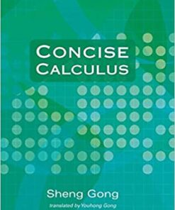 Concise Calculus eBook