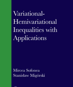 Variational-Hemivariational Inequalities with Applications eBook