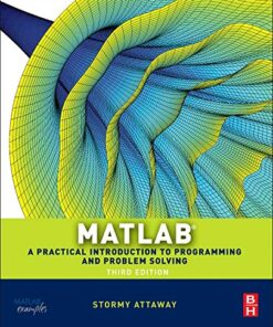 Matlab: A Practical Introduction to Programming and Problem Solving eBook